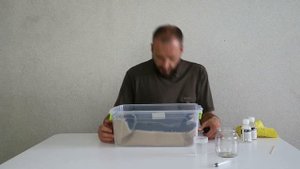 Как убрать кошачью мочу с ковра?