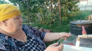 Деревенские будни-Комары заедают, не дают работать.