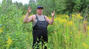 КАКИЕ ТРАВЫ МОЖНО ДАВАТЬ,  А КАКИЕ НЕТ КУРАМ!