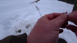 Рыбалка на хариуса. Часть 2./// Отличный клев хариуса на таежной реке /// Рыбалка 29