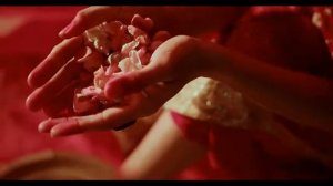 и сотни роз не стоят не одной твоей ромашки