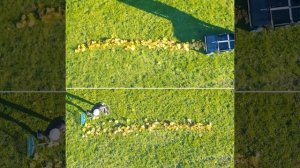 GARDENA | Lehtienkerääjä vs. harava