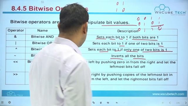 Python Bitwise Operators & Operator Precedence | Chapter 8 Class 11 Computer Science with Python #4