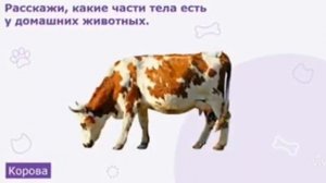 НОД Развитие речи в старше подготовительной группе. Тема Домашние животные