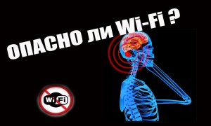 Опасен ли Wi-Fi для здоровья.
