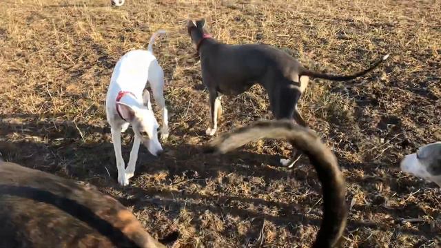 Окский причал 03.04.19 смотреть онлайн