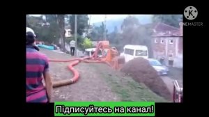 Переработка И очистка фундука на ореховых фермах