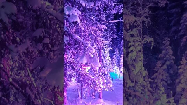 ЗИМНЯЯ СКАЗКА ЛЕНИНГРАДСКАЯ ОБЛАСТЬ смотреть онлайн