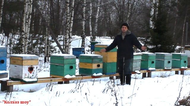 Как разбогатеть на пчёлах/Пчеловодство для начинающих