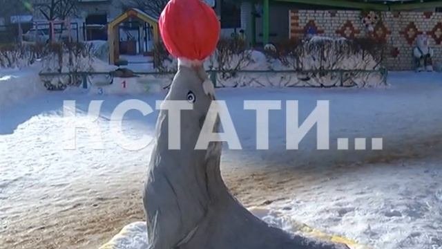 Самый сказочный детский сад появился в Московском районе