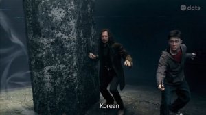 EXPELLIARMUS Harry Potter in Different Languages