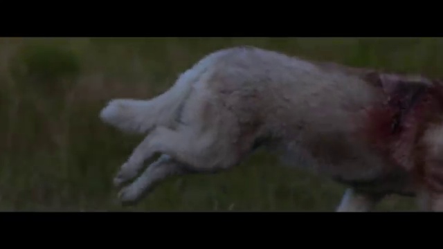 David Guetta - She Wolf Falling To Pieces ft. Sia