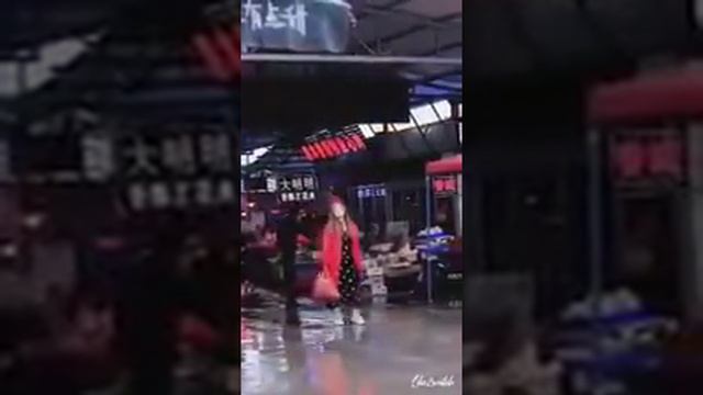 Собаки умнее и добрее людей!!! смотреть онлайн