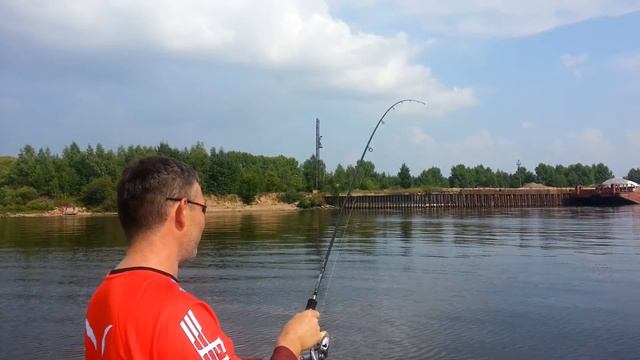 Fox Rage Zander Pro Shad смотреть онлайн