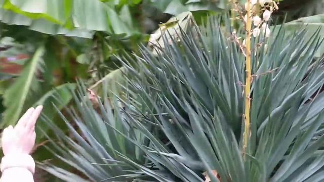 Отдых в Крыму. Крым без электричества. Ялтинские бедолаги )) #booking смотреть онлайн