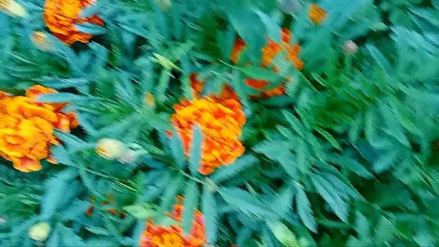 Убрала лук! Заготовки....🤔 смотреть онлайн