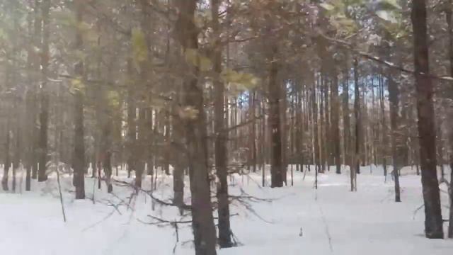 На зимней рыбалке и мотобуксировщик бурлак2 смотреть онлайн