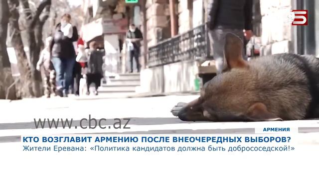 Шок жители Армении не хотят мира с Азербайджаном смотреть онлайн