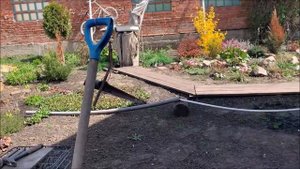 Вторая жизнь лопаты. Удаление одуванчиков. The second life of the shovel. Removing dandelions.