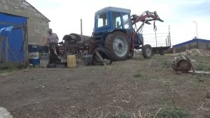 Сею суданку, и кострец, заборонил поперек.