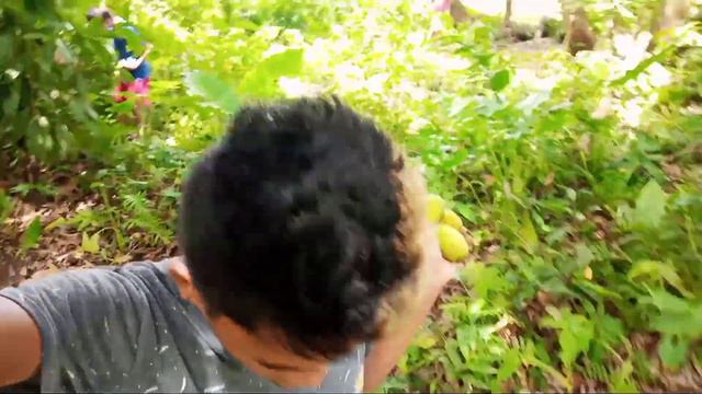 PASYAL MUNA TAYO SA AMING PROBINSYA | AT MANGUHA DIN NG MANGGA | смотреть онлайн