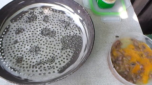 Разведение живого корма для кормления насекомоядных птиц.