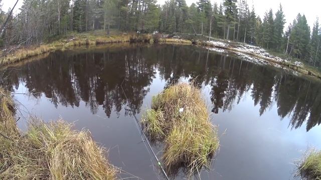 Я и не думал что если сломать Первый Лед получится такая рыбалка.это просто жор какой то. смотреть онлайн