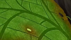 Соу озвучивает мультсериал "Лунтик и его друзья"!