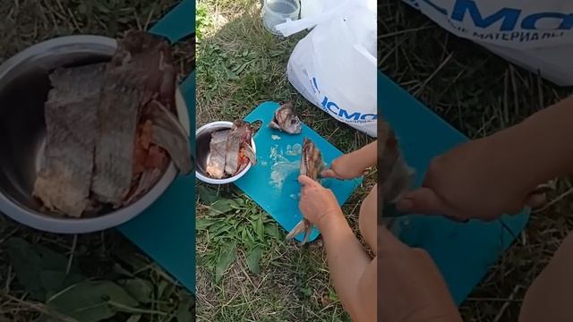 Вяленый лещ,15 дней в солевой кукле