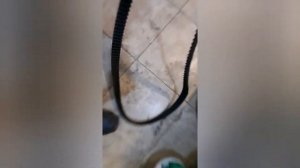 Мотор к4м рено. Все проблемы с гбц. стертые алюминиевые постели люфт в распредвале