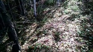 Освоение нового режима поиска.Ванквиш 440.