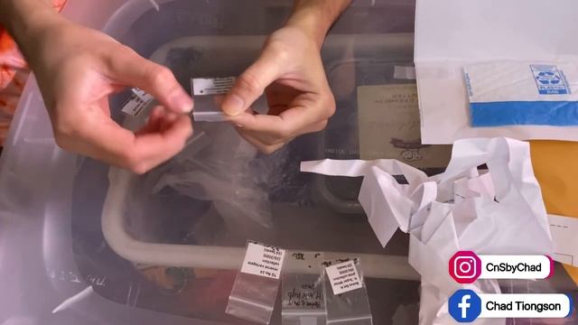 Haworthia Reverse Variegated Seeds смотреть онлайн