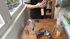 DIY - Подставка для воздушных растений