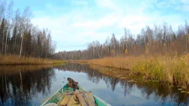 Радунга