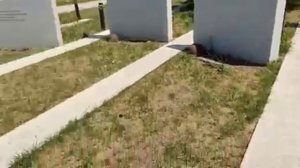 На море на машине. Крым 2022. Часть 1.