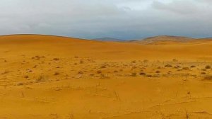 Пустыня Гоби, дюны