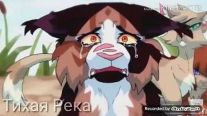 Коты-воители - Кленовица - пламя