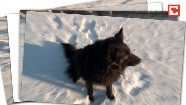 видеоурок для Photoshop - Эффект зуммирования.flv смотреть онлайн