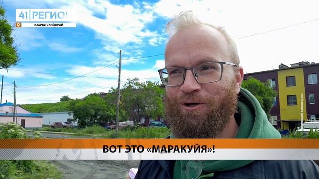 ГАСТРОНОМИЧЕСКИЙ ФЕСТИВАЛЬ ПРОВЕЛИ В ОЗЕРНОВСКОМ • НОВОСТИ КАМЧАТКИ