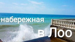 АВГУСТ В ЛОО. ЦЕНТРАЛЬНАЯ НАБЕРЕЖНАЯ.
