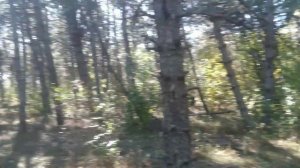 На машине на Белую скалу и плато Караби-Яйла. Наш Крым