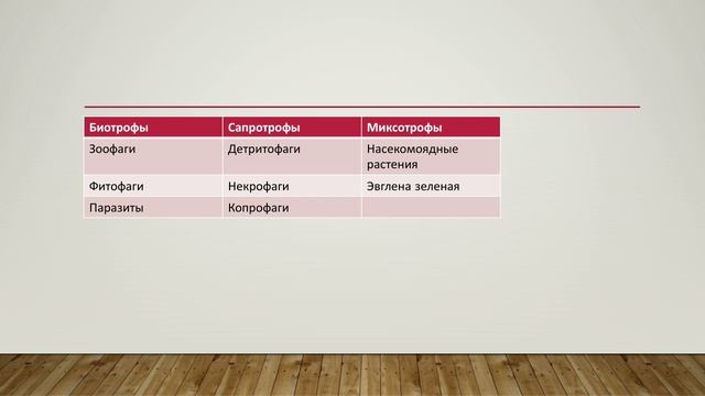 Биология: Типы питания живых организмов