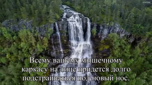 Нос мечты, или подводные камни ринопластики — Статья смотреть онлайн