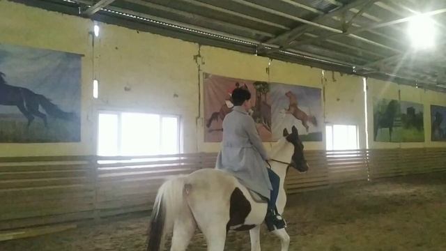 Много меня) Ипподром/ Лошади и тд))