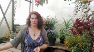 Как сохранить вегетативные растения зимой