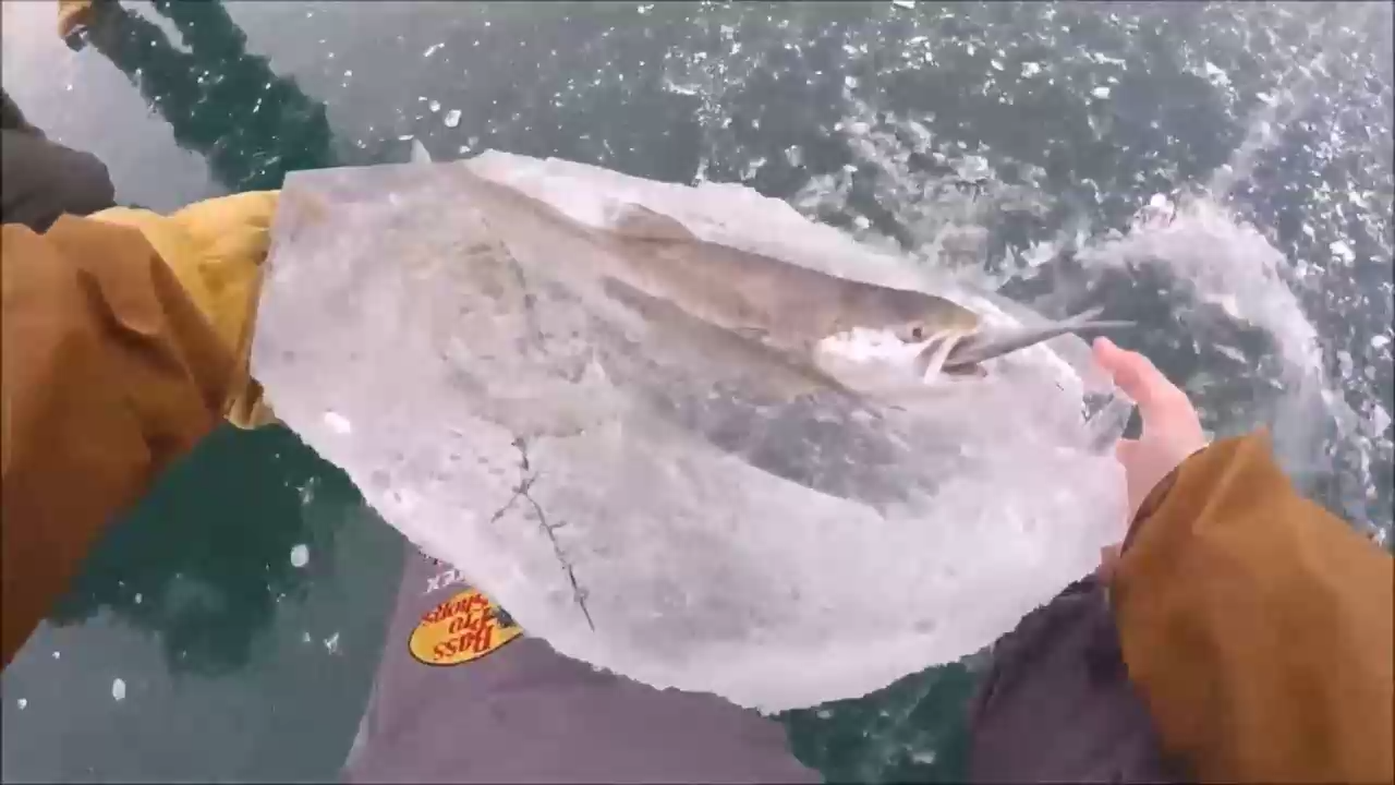 Заморозили во время обеда смотреть онлайн