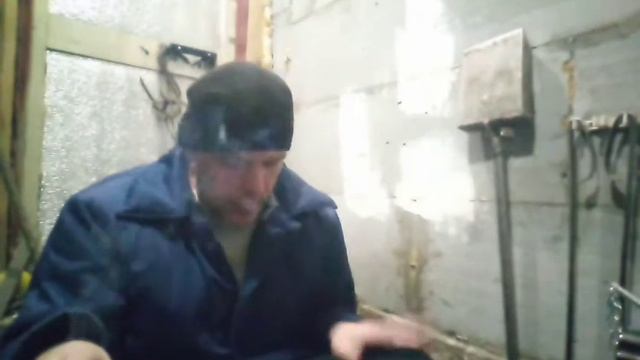 немецкий пестрый великан, Строкач. дрессировка.