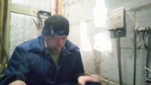 немецкий пестрый великан, Строкач. дрессировка.