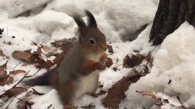 Измайловский парк Культуры и Отдыха / Москва / Куда пойти поехать с ребенком смотреть онлайн