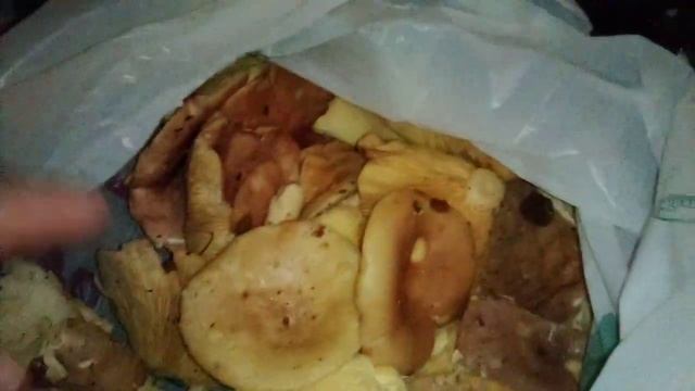 Заказ с Озона и мои покупки и цены. Санкт-Петербург. смотреть онлайн